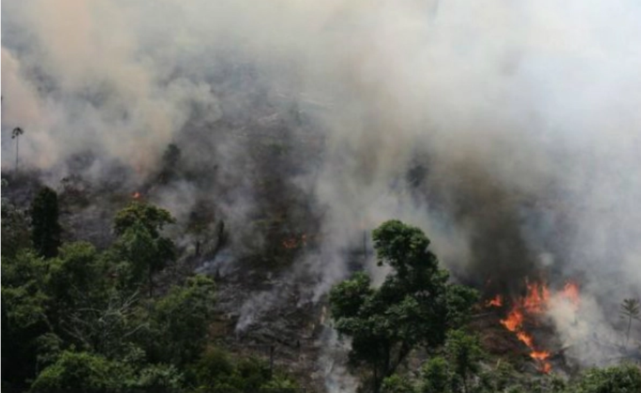 Ante incendios en el Amazonas, gobiernos de Sudamérica se solidarizan