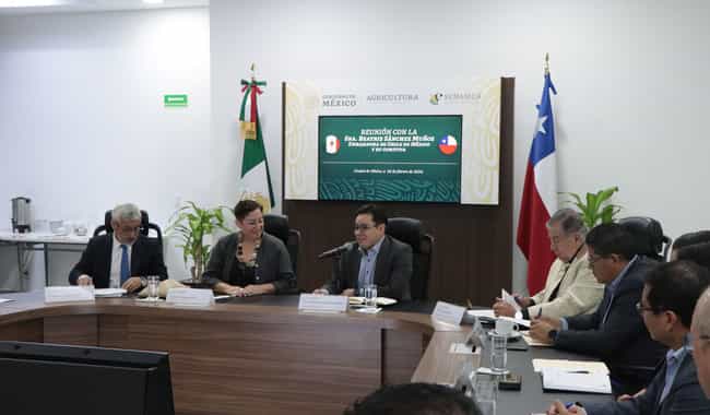 Intercambio comercial México-Chile potencia desarrollo de pequeños y medianos productores: Agricultura