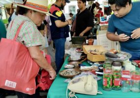 Feria del Libro celebra el 493º Aniversario de Querétaro en Plaza Constitución