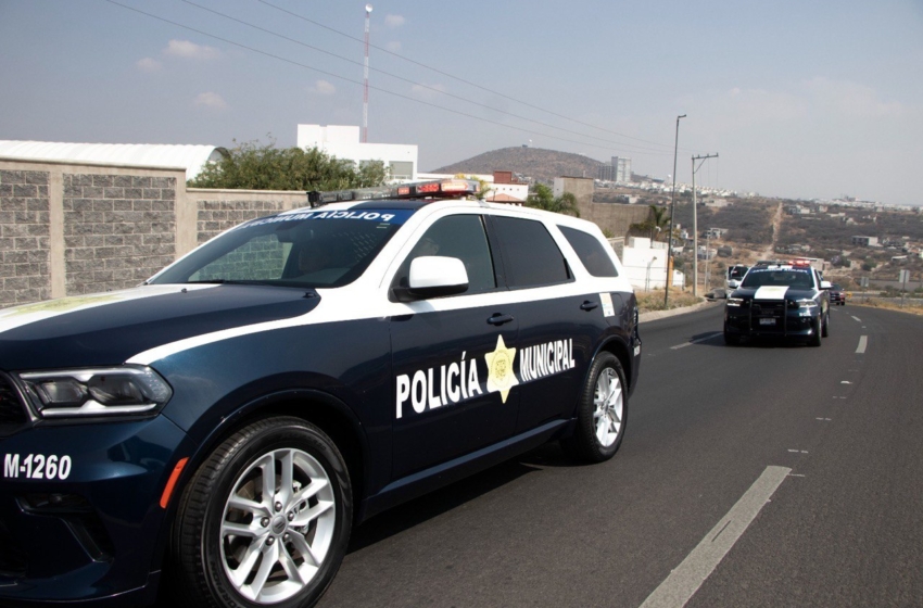 Policías de la SSPMQ detienen a masculino en posesión de diversas licencias de conducir apócrifas